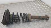 Stoßdämpfer links hinten Nissan Primera (P12) 67026