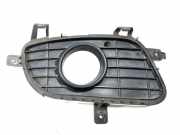 Blende Nebelscheinwerfer Mercedes-Benz A-Klasse (W169) A1698850622