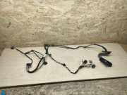 Türverkabelung hinten links VW PASSAT CC (357) 2.0 TDI 3C8971693