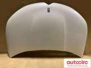 Motorhaube Citroen DS4 (NX) 7901S1