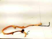 Kabelbaum Kia Niro I (DE) 91671G5020