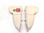 Schwellerleisten Citroen C5 III (RD) 96446821EV