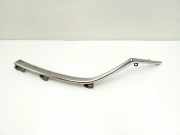 Stoßstangenzierleiste vorne links