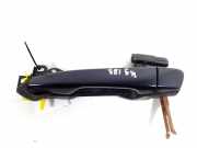 Türgriff links Lexus RX 3 (L1)