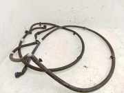 Düsenkörper Audi A8 (4H) 4H0955970D