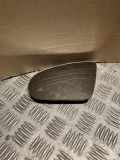 Türspiegelglas vorne links