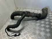 Luftansaugrohr CITROËN JUMPER Furgon 2.2 HDi 100 1366233080