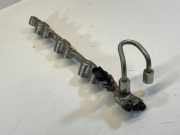 Einspritzleiste Lexus RX 4 (L2) 2386031030