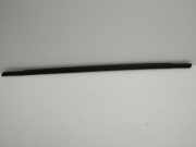 Türverkleidung links hinten Ford Focus IV (HN)