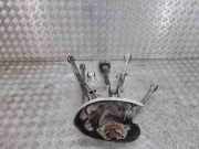 Radlagergehäuse rechts hinten Audi Q5 (8R) 80A501203E