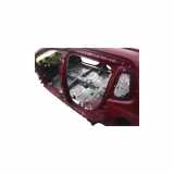 Hinterer rechter Flügel