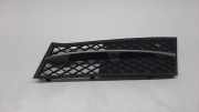 Gitter vorne unten BMW 5 (F10) 520 d 51117200699 51117231859