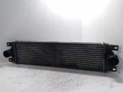 Ladeluftkühler Renault Master II Kasten (FD) 867658F