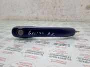 Türgriff links Ford Galaxy (CK)