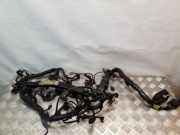 Motor Kabelbaum MERCEDES-BENZ E (W212) E 250 CDI / BlueTEC (212.003, 212.004) A6510104248