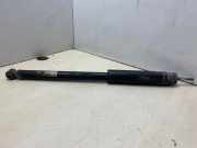 Stoßdämpfer hinten links HONDA CIVIC VIII Hatchback (FN, FK) 2.2 CTDi (FK3) 8014000001886