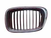 Kühlergrill oben BMW 5er (E39) 2497261