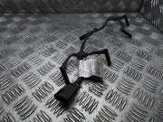 Kabelbaum Fiat Ducato Kasten (250) 5801565555