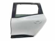 Tür hinten links RENAULT GRAND SCÉNIC IV (R9_) 1.6 dCi 130