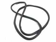 Heckklappengummi JAGUAR XK Coupe (X150) 5.0 V8 C2P4993