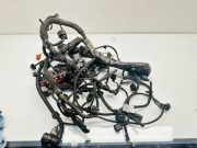 Motor Kabelbaum AUDI A4 Avant (8K5, B8) 2.0 TDI 8K0971824AB