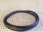 Türdichtung VW Tiguan I (5N) 5N0867913