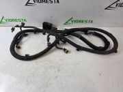 Parktronic PEUGEOT 308 III (FB_, FH_, FP_, F3_, FM_) PureTech 110 (FPHNPL) 701979