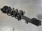 Stoßdämpfer vorne links