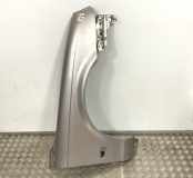 Kotflügel rechts vorne Jaguar S-Type (X200)