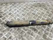 Stoßdämpfer hinten links