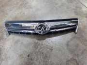 Vorderer oberer Gitter OPEL ANTARA 2.2 CDTi 4x4 25983424