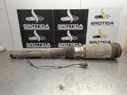 Pneumo-Stoßdämpfer hinten links MERCEDES-BENZ S (W220) S 400 CDI (220.028, 220.128) a2203270092