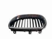 Gitter Grill vorne links BMW 5 Touring (E61) 520 d
