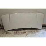 Motorhaube PEUGEOT EXPERT Furgon (222) 1.9 D 70