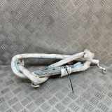 SRS Modul Dach links BMW 7 (F01, F02) 730 d 9110271