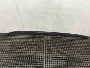 Dachreling links BMW 3er Touring (E91) 7255485