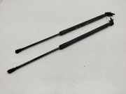 Heckklappe Gasdruckfeder links NISSAN X-TRAIL (T31) 2.0 dCi 90451JG400