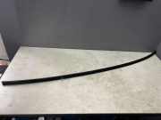 Dachleiste links BMW 3 (E46) 320 d