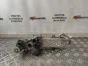 AGR-Kühler VW GOLF PLUS (5M1, 521) 1.9 TDI 03L131512BJ