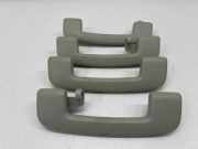 Dachgriffset (innen) NISSAN X-TRAIL IV (T33) 1.5 VC-T Mild Hybrid 24X172