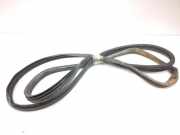 Türgummi links vorne Fiat Ducato Kasten (250)