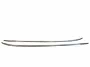 Dachreling links Opel Insignia A Sports Tourer (G09)