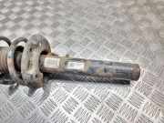 Stoßdämpfersatz Vorderachse Skoda Octavia II Kombi (1Z) 1K0413031BF