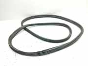 Heckklappengummi MERCEDES-BENZ EQA(H243) 250 (243.701)