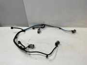 Kabelbaum Vorderen Parksensoren HYUNDAI i20 (PB, PBT) 1.4 918904P030