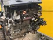 Motor ohne Anbauteile (Diesel) Citroen Berlingo I (MF) 0135SW