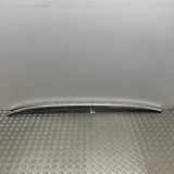 Dachreling BMW 5er Touring (F11) 7210093