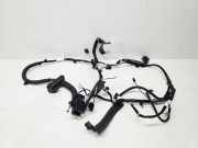 Kabel Tür Nissan Qashqai II (J11) 241246UM0D