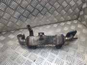Abgaskühler Ford Galaxy (WGR) 038131513L