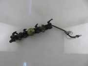 Kraftstoffzuführung HONDA JAZZ II (GD_, GE3, GE2) 1.2 i-DSI (GD5, GE2) 0280156188